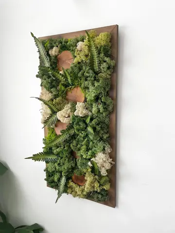 ABSTRACT - Preserved Horizontal Moss Wall Art