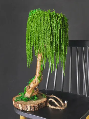 AMARANTH LAMP - Handmade Preserved Moss Tree Lamp