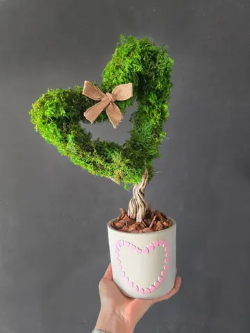AMOUR – Preserved Moss Topiary
