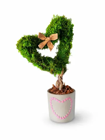 AMOUR, alternative view