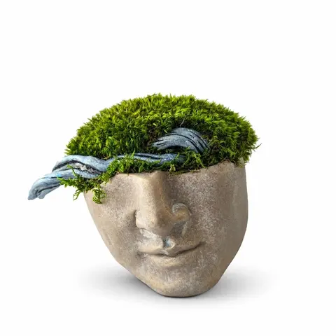 APOLLO – Preserved Moss Sculpture