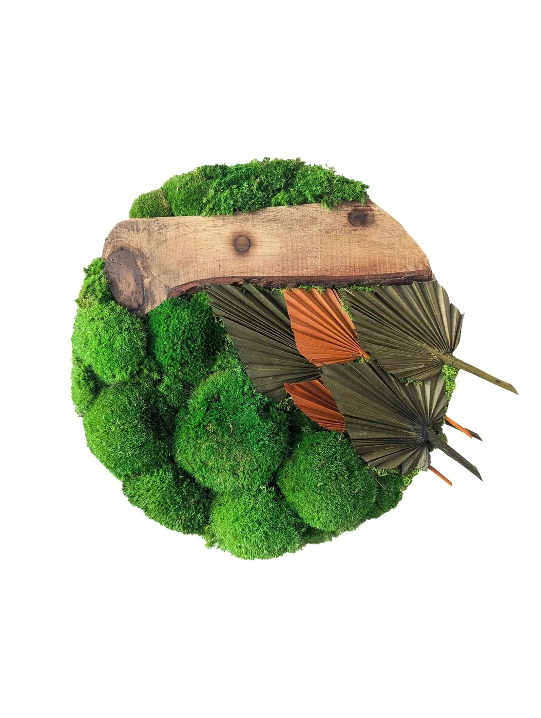 BOHO, a closer look at the preserved botanical material