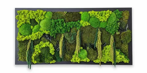 BOTANIC FLOW - Preserved Horizontal Moss Wall Art