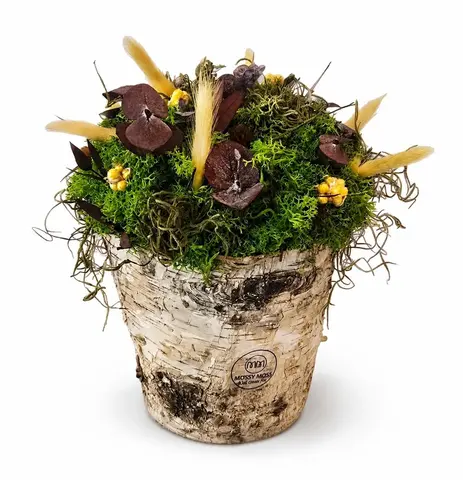 BUNNY GARDEN – Preserved Moss Arrangement