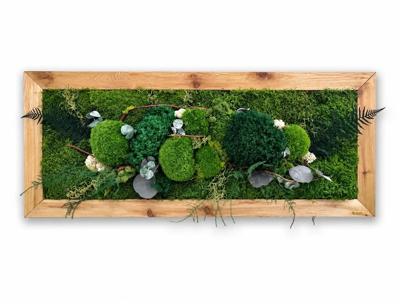 CALM BALANCE, horizontal preserved moss art