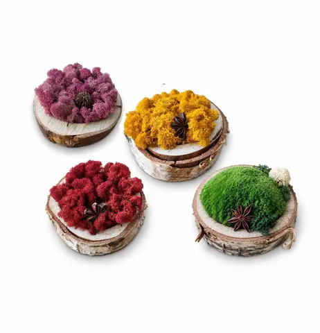 COLOUR FOREST NEST - Μini wood moss decor piece