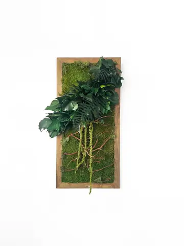 DANGO - Preserved Circular Moss Wall Art