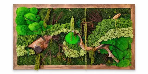 FOREST LAYERS, alternative view
