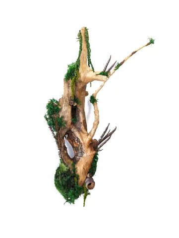 FOREST TRUNK – Preserved Moss Wall Art