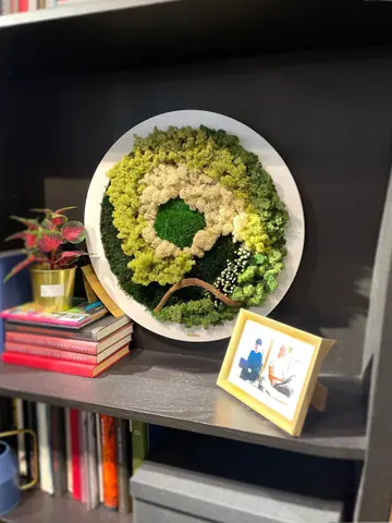 GALAXY - Preserved Circular Moss Wall Art