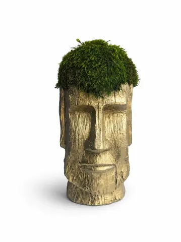 GOLD MOAI, alternative view