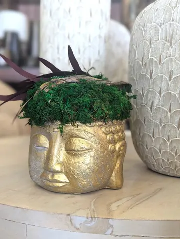 GOLDEN ZEN BUDDHA Vol. 2 – Preserved Moss Sculpture