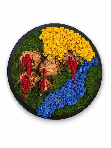 LAVA - Preserved Circular Moss Wall Art