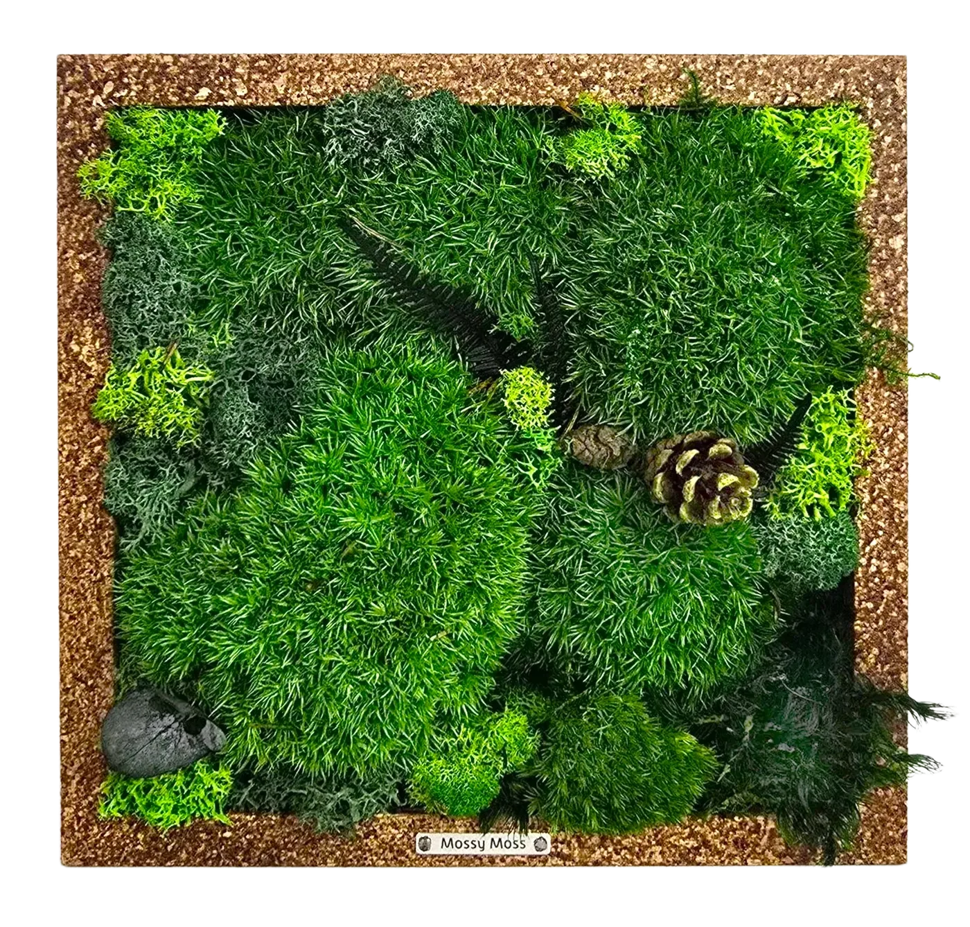 MINI GARDEN I, miniature preserved moss art