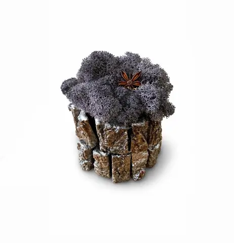 MOSAIC MOSS - Mini Moss Decoration