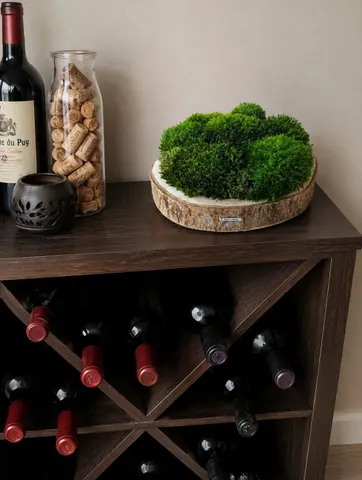 MOSS PLATTER – Preserved Moss Centerpiece