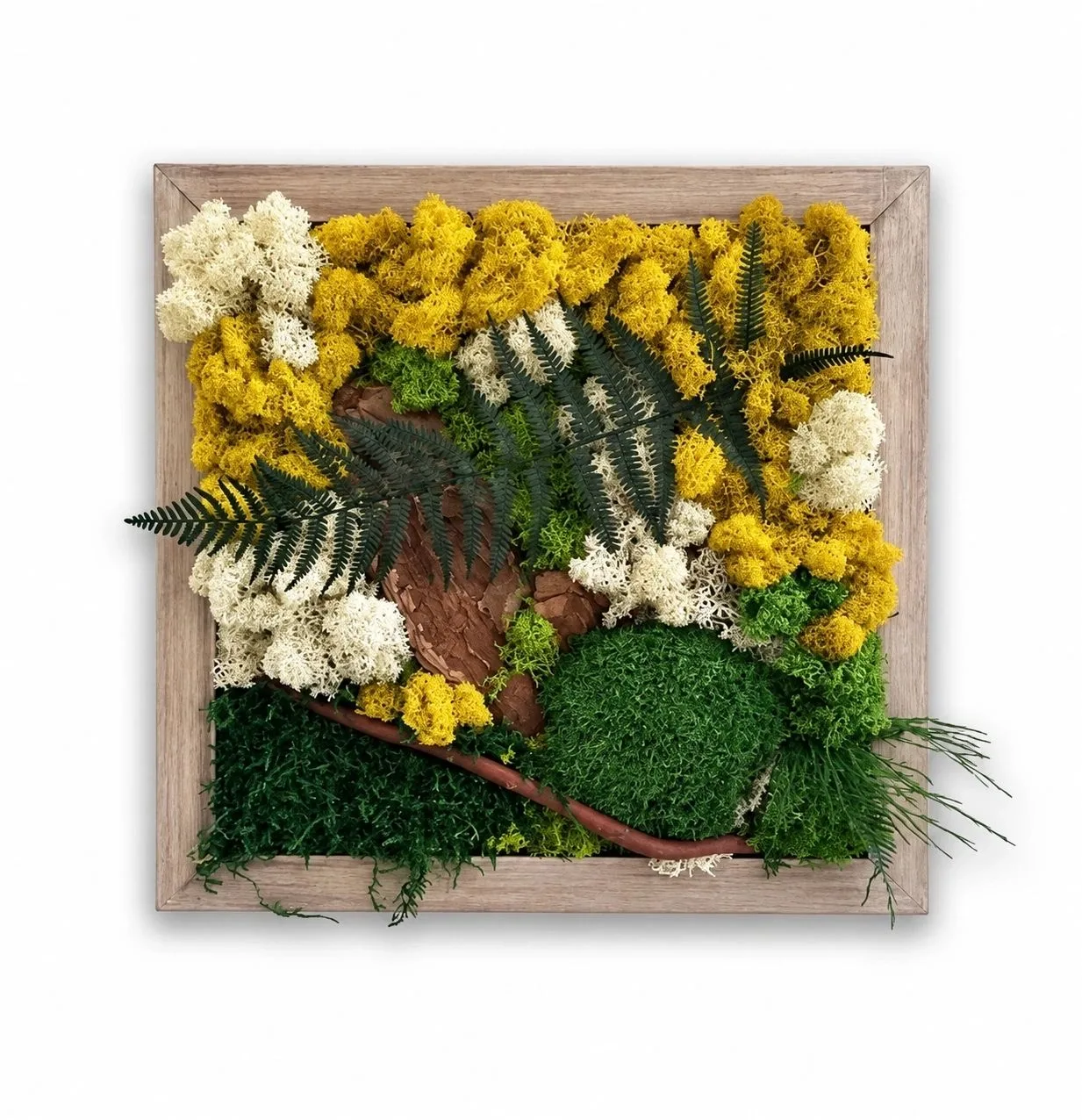 MOSSY MOOD, preserved moss composition