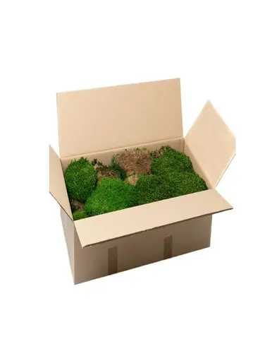 NATURAL PRESERVED FLAT MOSS – Preserved Flat Moss Box