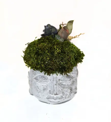 NATURAL ZEN BUDDHA – Preserved Moss Sculptur