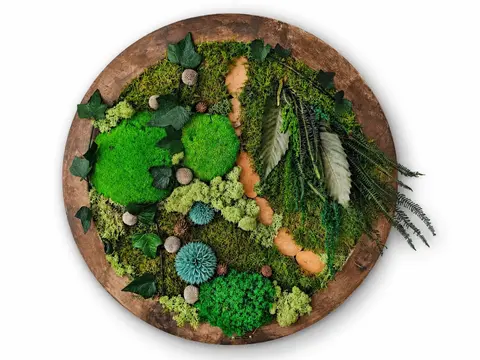 PATH - Preserved Circular Moss Wall Art