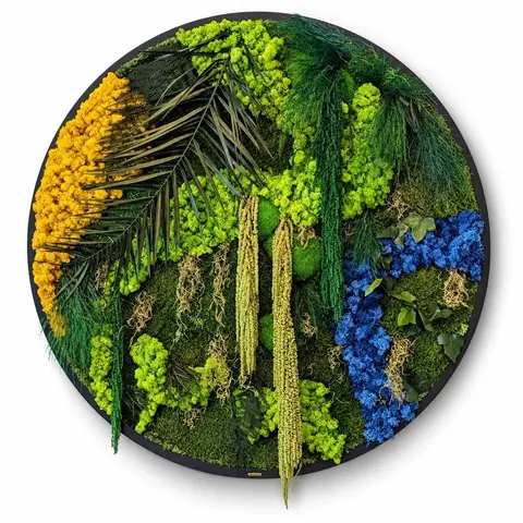 RIVER - Preserved Circular Moss Wall Art