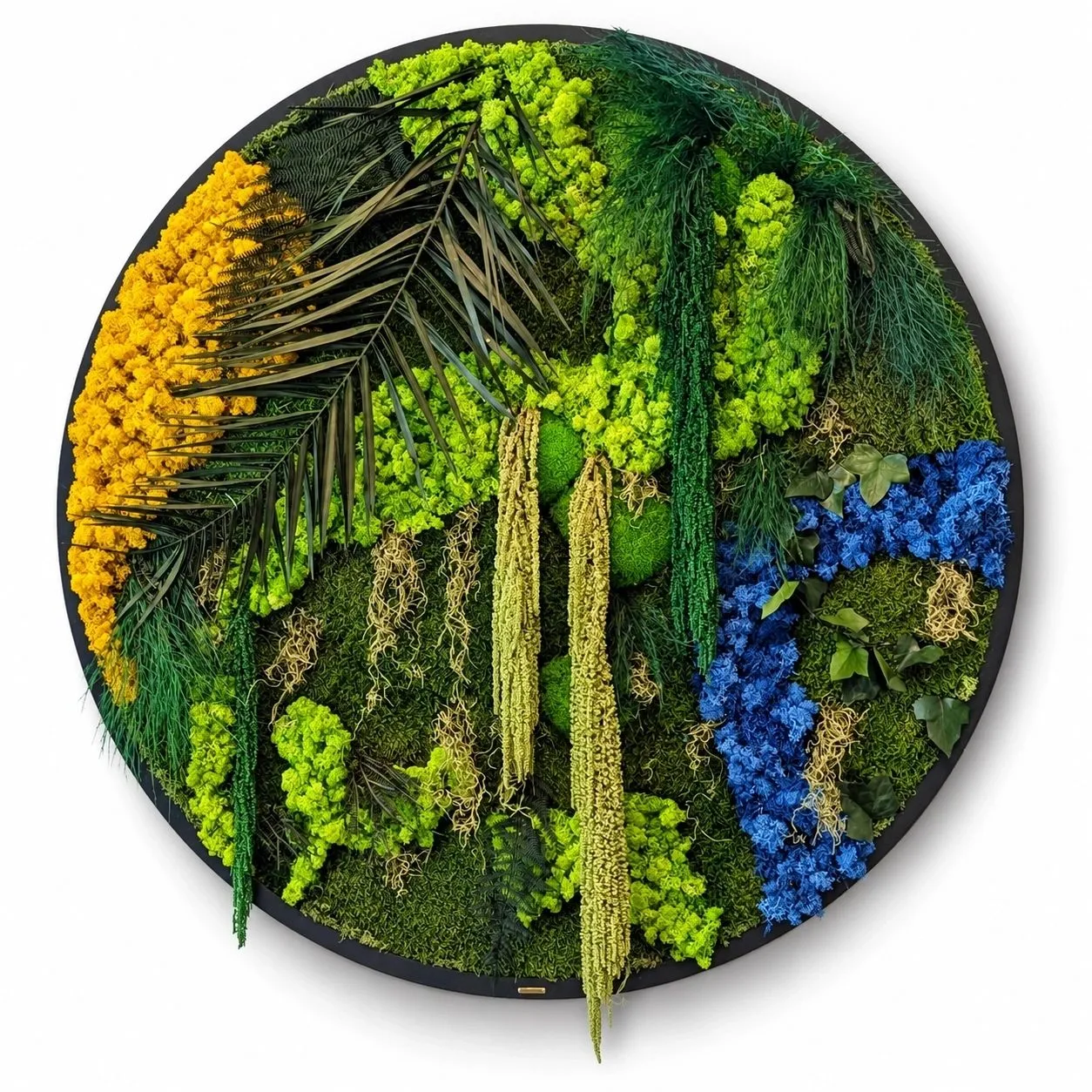 Close study of moss mounds, trailing foliage and natural variation in RIVER