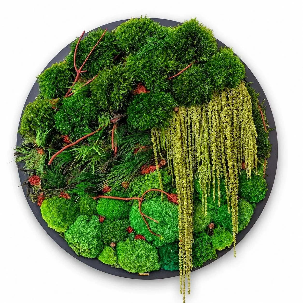 ROYAL FOREST, circle preserved moss art