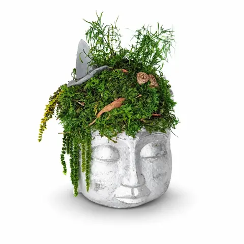 SILVER HARMONY BUDDHA Vol. 2 – Preserved Moss Sculpture