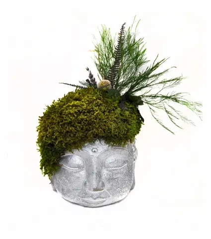 SILVER HARMONY BUDDHA Vol. 3 – Preserved Moss Sculpture