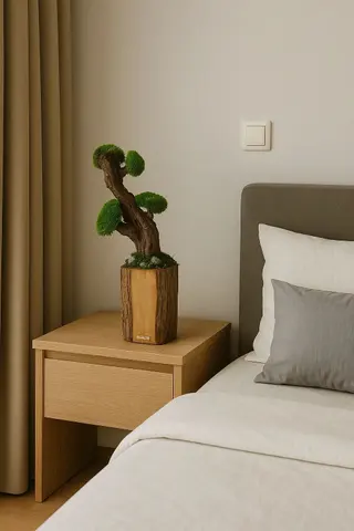 SOLO BONSAI – Preserved Moss Bonsai Tree