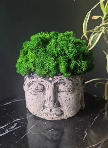 STONE ZEN BUDDHA – Preserved Moss Sculpture