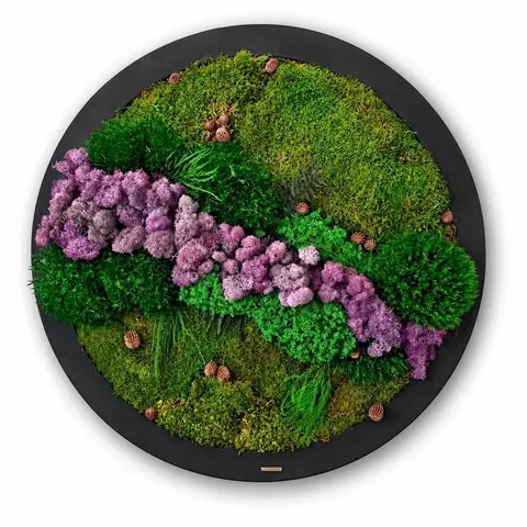 VIOLET - Preserved Circular Moss Wall Art