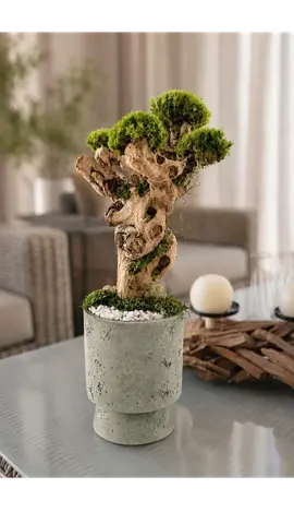 WABI-SABI - Handmade Preserved Moss Bonsai